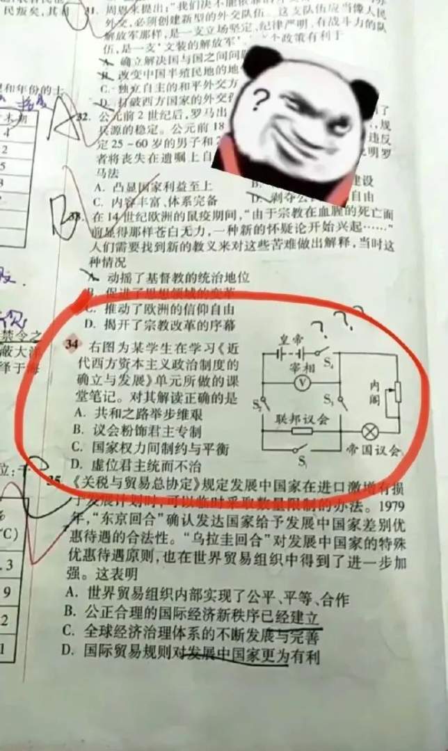 Word文档图片