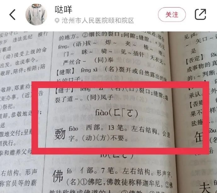 Word文档图片