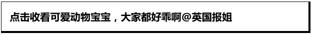 无论什么物种，幼崽都是小可爱呀！太治愈了！