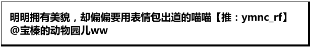 颜艺小猫又来啦！它表情真的超级有戏！