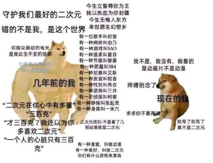 Word文档图片